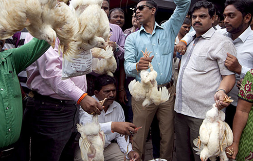 Meat ban.